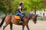 Ponette de sport 