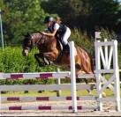 Ponette de sport 