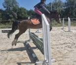 Opale