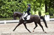 Cavalla Lusitano In vendita 2016 Nero