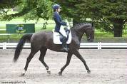Cavalla Lusitano In vendita 2016 Nero