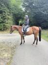 Trotteur de 3 ans 