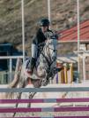 PONI D de SALTO