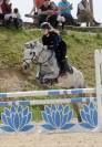 PONI D de SALTO