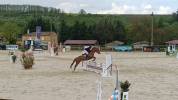 A louer Top Ponette D de 9 ans!