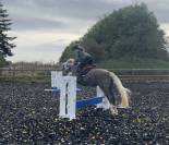Demi-pension poney D