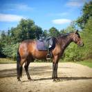 Garrida, F, Lus, 9 ans