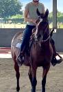 Jument Quarter Horse 5 ans PP