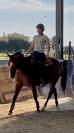 Jument Quarter Horse 5 ans PP