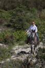 Hongre 4 ans polyvalent