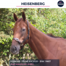 HEISENBERG - PS - 5 ANS