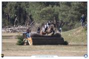 Elégante jument SF de 5 ans CCE/dressage