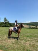 Poney ONC 