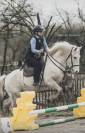 Cheval Camargue pp hongre 6 ans 