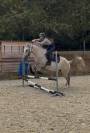 Jument 6 ans Loisir & Sport