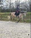Jument 6 ans Loisir & Sport