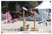 Jument PFS - 6 ans - prête As2 