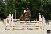 Jument PFS - 6 ans - prête As2 