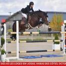  A LOUER  PONEY GAGNANT GRAND PRIX