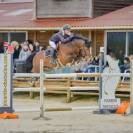  A LOUER  PONEY GAGNANT GRAND PRIX