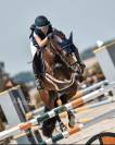 A LOUER  PONEY GAGNANT GRAND PRIX