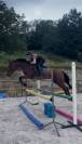 Cheval 4 ans cso par By Cera d'Ick