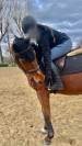 Recherche apprentissage urgent 