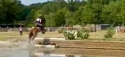 CAVALLO castrone francese del 2017