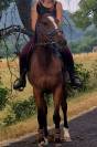 Jolie jument sport / loisir 
