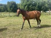 Demi pension sport et loisir