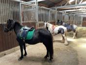 Demi pension sport et loisir