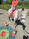 Poney welsh/pur sang arabe 