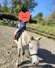 Poney welsh/pur sang arabe 