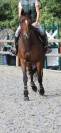 Litonya des Edennes SF 4ans 