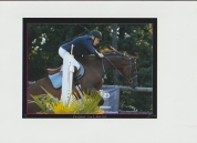CHEVAL DE 4 ANS