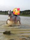 VENDS BURDY HONGRE CREME 15 ANS