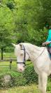 VENDS BURDY HONGRE CREME 15 ANS