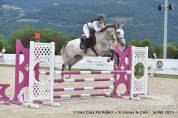 Jument de 5 ans tourne sur 110 cm 