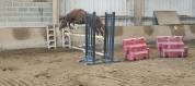Poney C