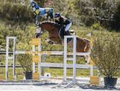 Poney C
