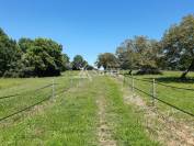Propiedad ecuestre En venta Deux-Sèvres