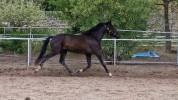 SF 3ans 1m68/69 bcp de Force hyper Facile 