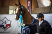 Caballo castrado Westfaliano En venta 2014 Alazán