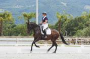 Jument Dressage Experience en compétition 