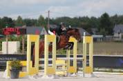 Poney