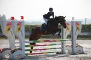 Poney