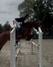 Poney