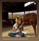 Shetland PP, 11 ans d'une gentillesse rare !