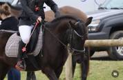 Poney C 11 ans 