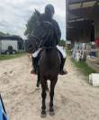 Poney C 11 ans 